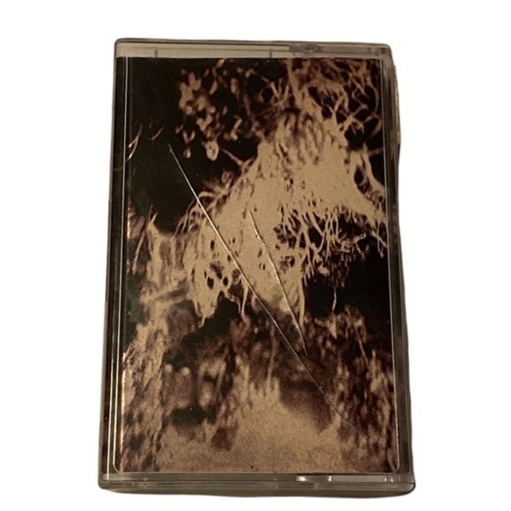 Bacteria Earth – Maple Sea cassette.